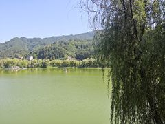 -后柳水乡