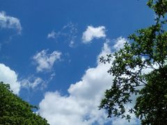 -天女山森林公园