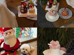 -自然熟Bakery(纬四路店)