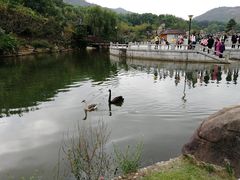 -白马涧龙池景区
