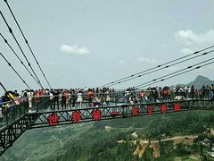 -梦幻奥陶纪景区