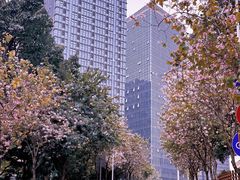 -玉树公园