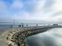 -星海湾跨海大桥