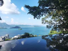 -大埔公路-马料水段香港中文大学(公交站)