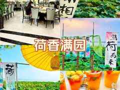 -七的湖·晚芳亭·阳澄湖农家菜·大闸蟹(莲花岛店)