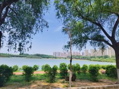 -丁香湖公园