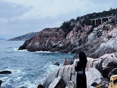 -广东惠东海龟国家级自然保护区
