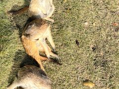 -南京金牛湖风景区