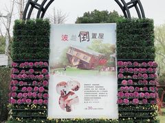 -金山农民画村-枫泾波兰倒置屋