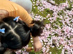 -苏州河梦清园环保主题公园