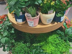 -鹿岛会员店 (龙湖三千集天街店)