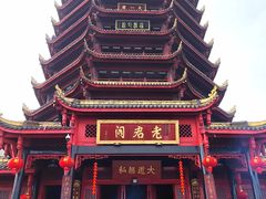 -青城山