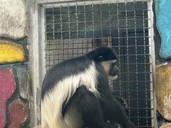 -黔灵山公园