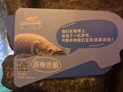 -南京海底世界