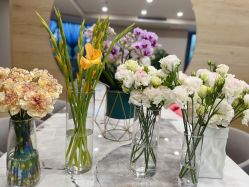 -酉嘉瑜伽YO+YOGA