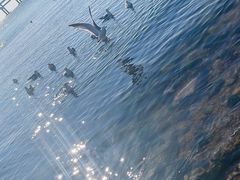 -星海广场