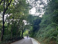 -云溪植物园