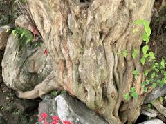 -孤山寨风景区