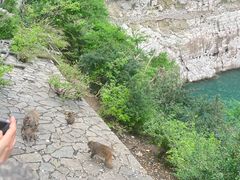 -白帝城·瞿塘峡景区