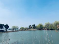 -长兴太湖图影湿地文化园