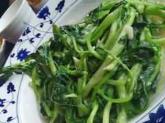 鸡毛菜-宁波状元楼酒店(和义路店)