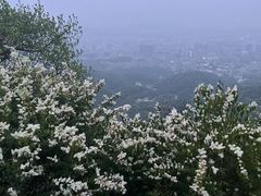 -广州市白云山风景名胜区