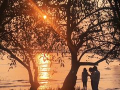 -宝安西湾红树林湿地公园