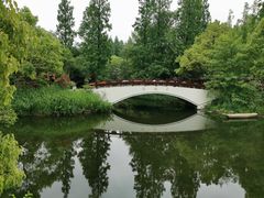 -东平国家森林公园