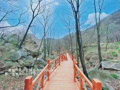 -大岭沟猕猴桃谷风景区