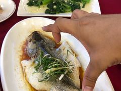 -百姓百味海鲜酒楼(粤垦路总店)