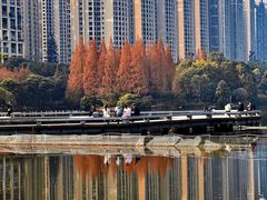 -成都南湖公园