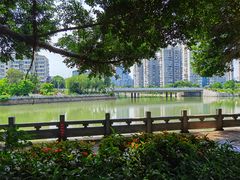 -光明港公园