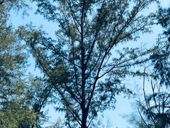 -西涌国际滨海旅游区