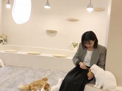 -More Fun猫咖 二十只万元加菲主题