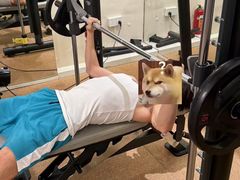 -YCHL Studios健身工作室(市二宫店)