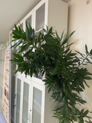 -产后帮产后修复(首城国际店)