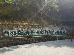 -野象谷景区