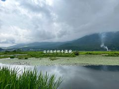 -腾冲北海湿地
