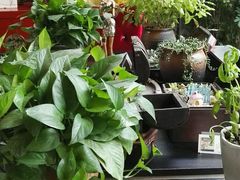 -漫渡庄绿岛花园•隐世庭园菜(滨湖店)