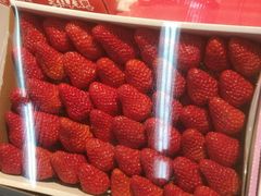 -鲜力达果品批发直销(青山店)