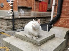 -飞马旅黎黄陂路文旅街区