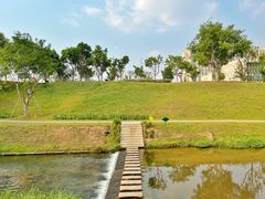 -光明小镇欢乐田园