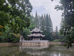 -习家池