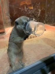 -酷嗒动物文化乐园(cutezoo西溪乐天城店)