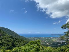 -三亚亚龙湾人间天堂鸟巢度假村