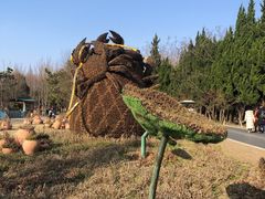 -东平国家森林公园