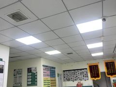 -乖乖宠物医院·猫科·急重症中心(车站北路分院)