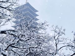 -牛首山文化旅游区