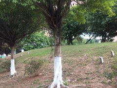 -华南理工大学(大学城校区)
