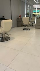 点击看大图 -金棕榈